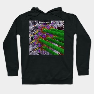 Kinetochore Hoodie